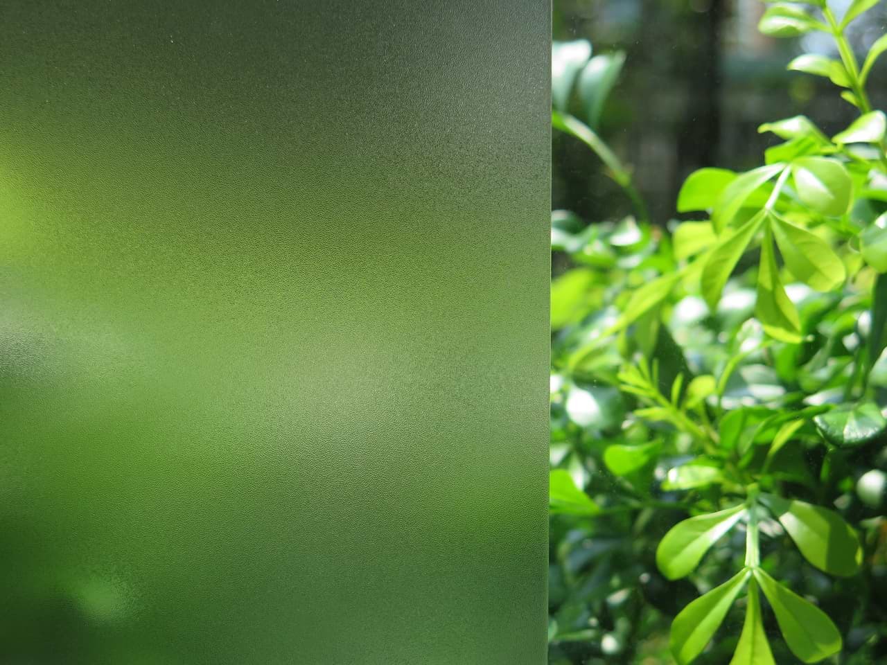 Window Film NZ Security window frosting New Zealand