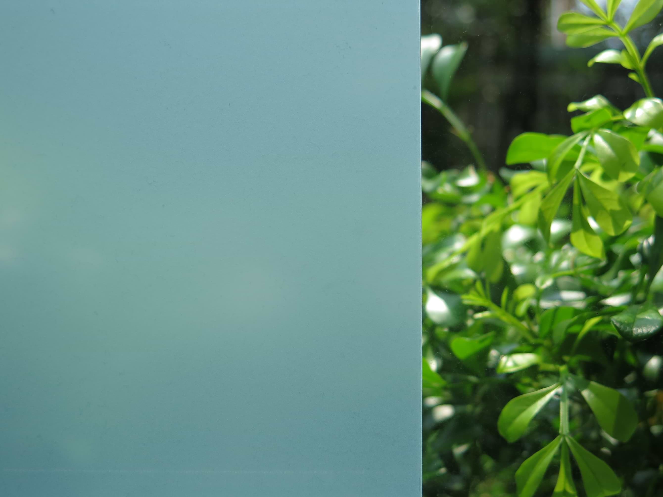 Window Film NZ Security window frosting New Zealand